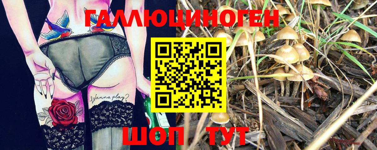 Галлюциногенные грибы MAGIC MUSHROOMS Вышний Волочёк