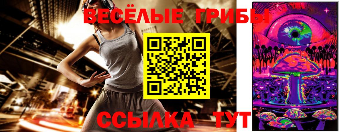 Псилоцибиновые грибы прущие грибы  Псилоцибиновые грибы Cubensis  Вышний Волочёк 