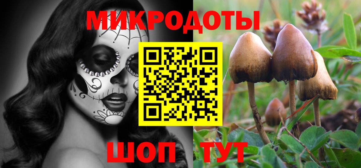 Вышний Волочёк  Галлюциногенные грибы Cubensis  Вход с VPN 