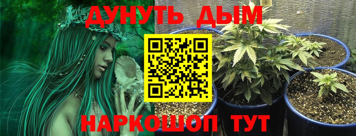 Бошки Шишки  Вышний Волочёк  МЕФ кристаллы  Вход с VPN 